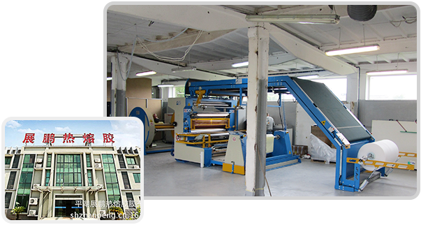 Pinghu Zhanpeng Hot Melt Adhesive Web & Film Co., Ltd.